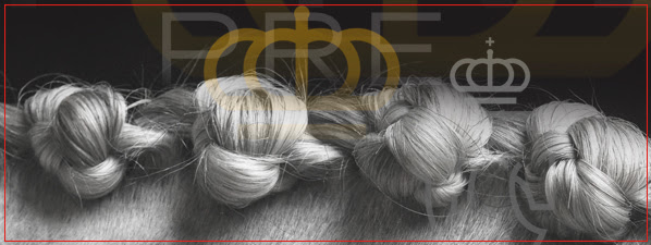 Presentados los resultados del Grupo Operativo EQUIGENOM en Madrid