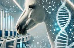 Seleccion genomica del pre